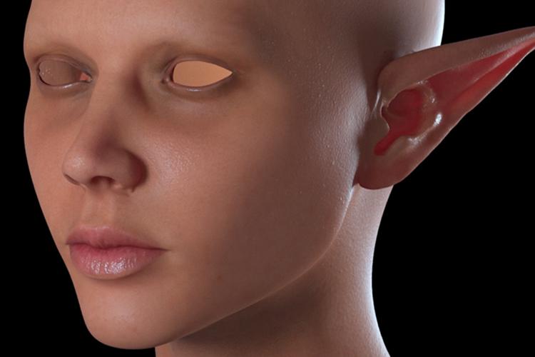 Open Zoomed Related Entry skin shader test render