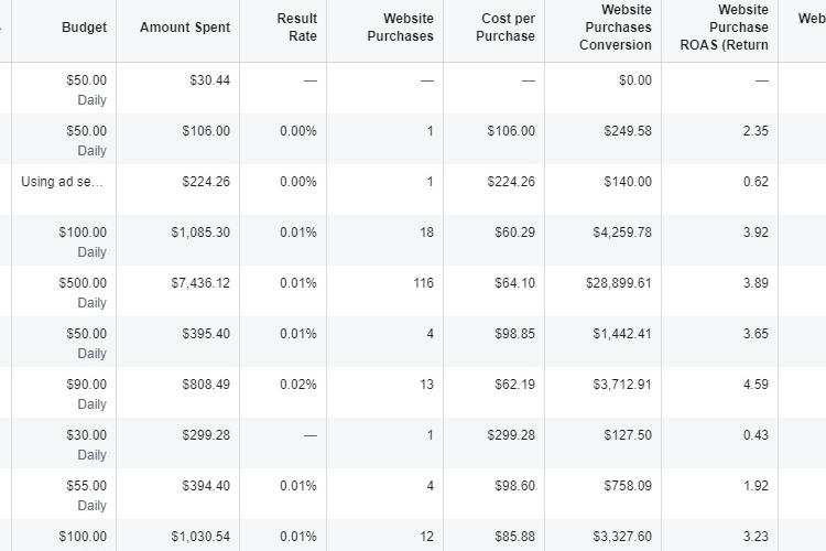 Open Zoomed Related Entry fb ads performance.jpg