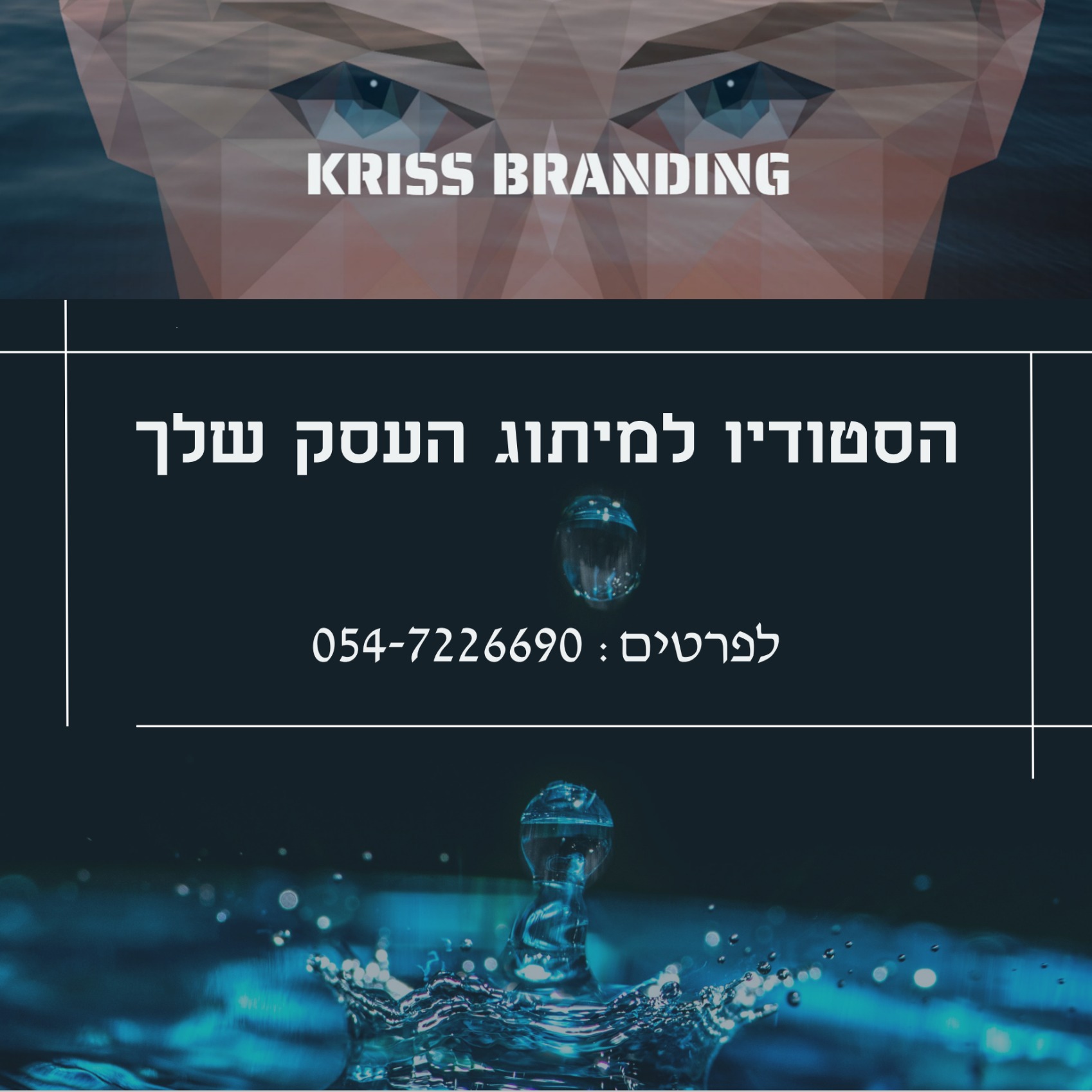 Entry 275273 in Portfolio by kriss branding
