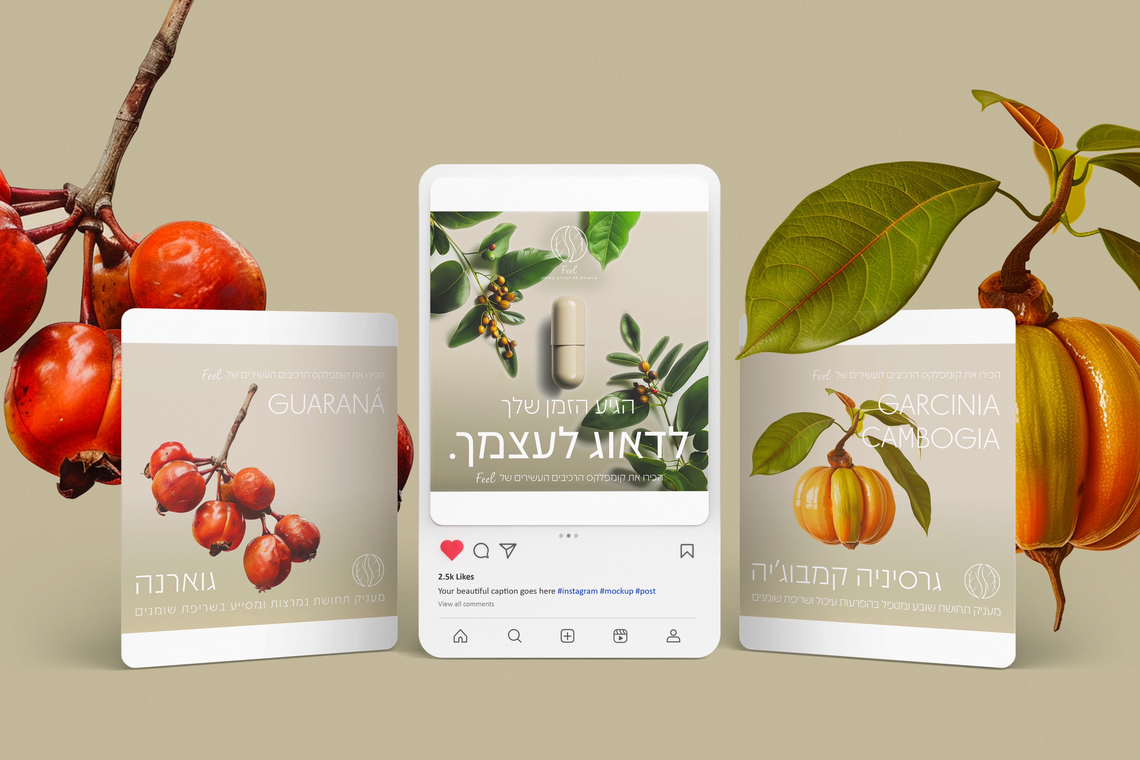 Entry 327842 in Portfolio by Amit Lago UI & Graphics