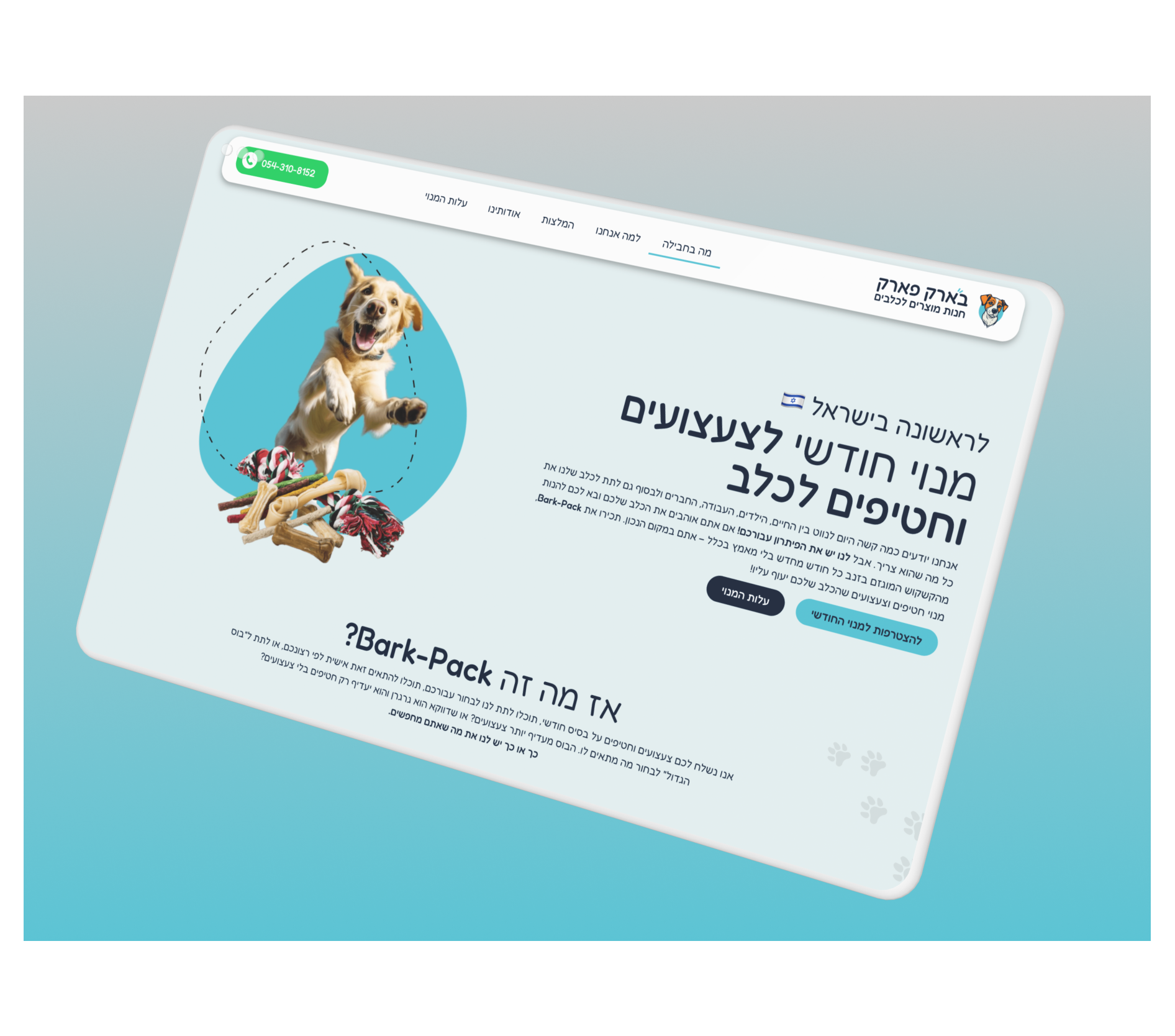 Entry 315543 in Portfolio by ניב אוסטה - סטודיו לבניית אתרים בהתאמה אישית