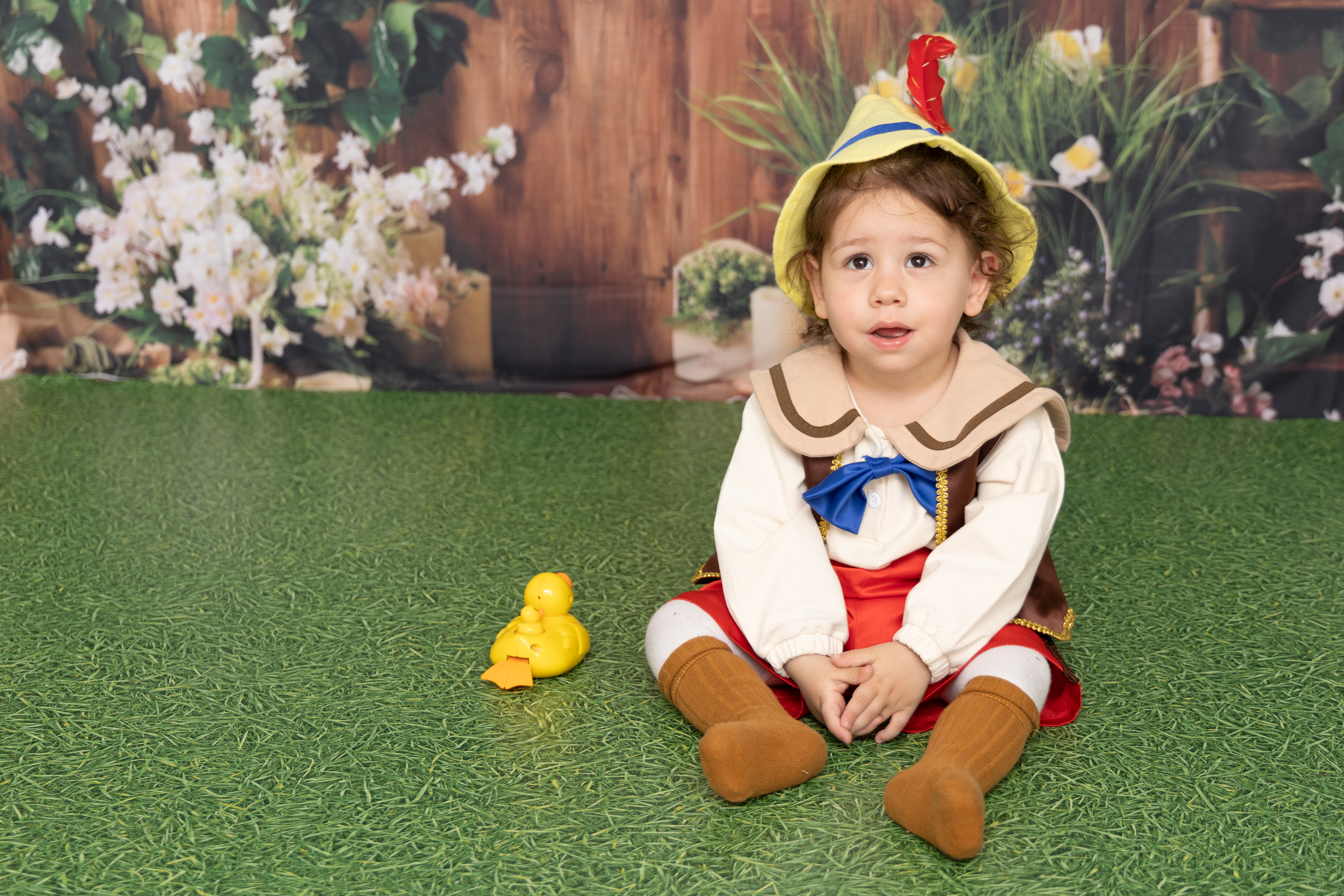 Entry 296694 in Portfolio by liron photography