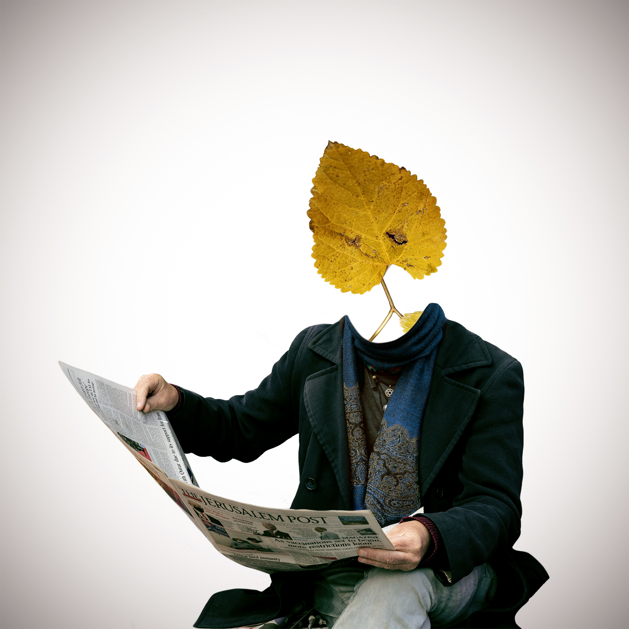 Entry 277752 in GRAPHIC DESIGN by שני דהן