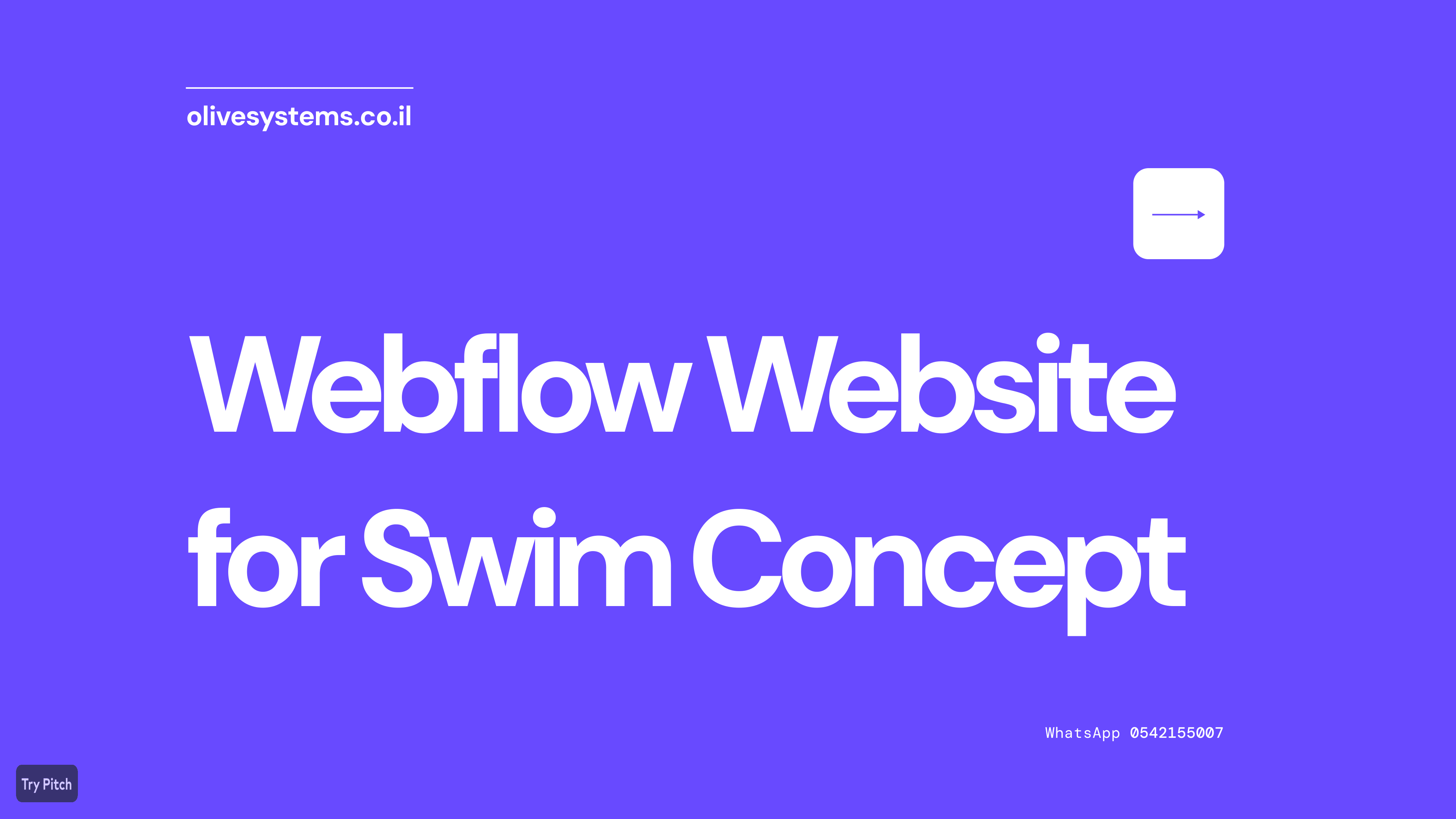 Entry 317488 in Portfolio by Olive Systems