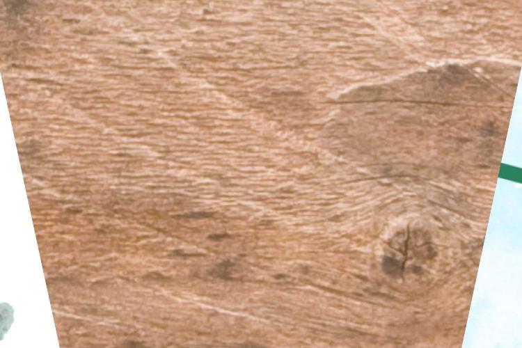 Open Zoomed Related Entry Untitled design.jpg