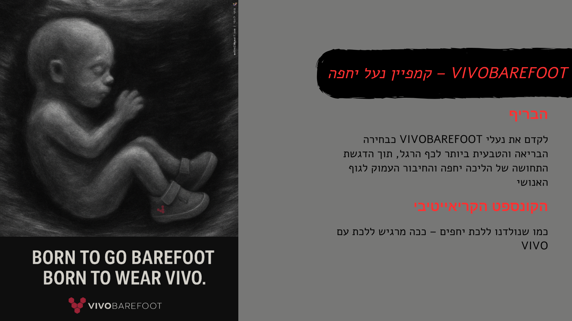 Entry 336737 in Portfolio by מוטי לוגסי - קריאייטיב