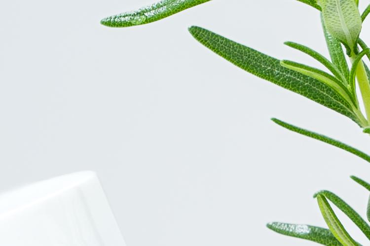Open Zoomed Related Entry MASK SHAMPOO VEG.jpg