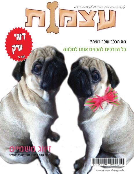 Entry 34920 in Portfolio by יעל צעידי