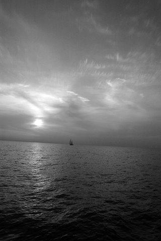 Entry 8595 in Portfolio by amir w