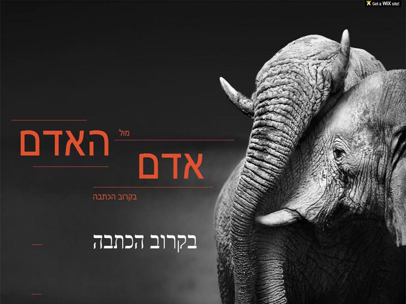Entry 53852 in Portfolio by Prdesign
