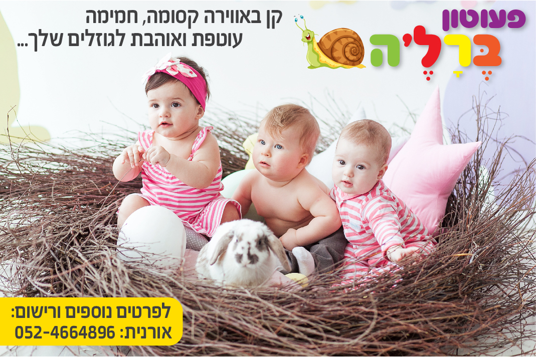 Entry 230957 in Portfolio by דיגיטל פלוס