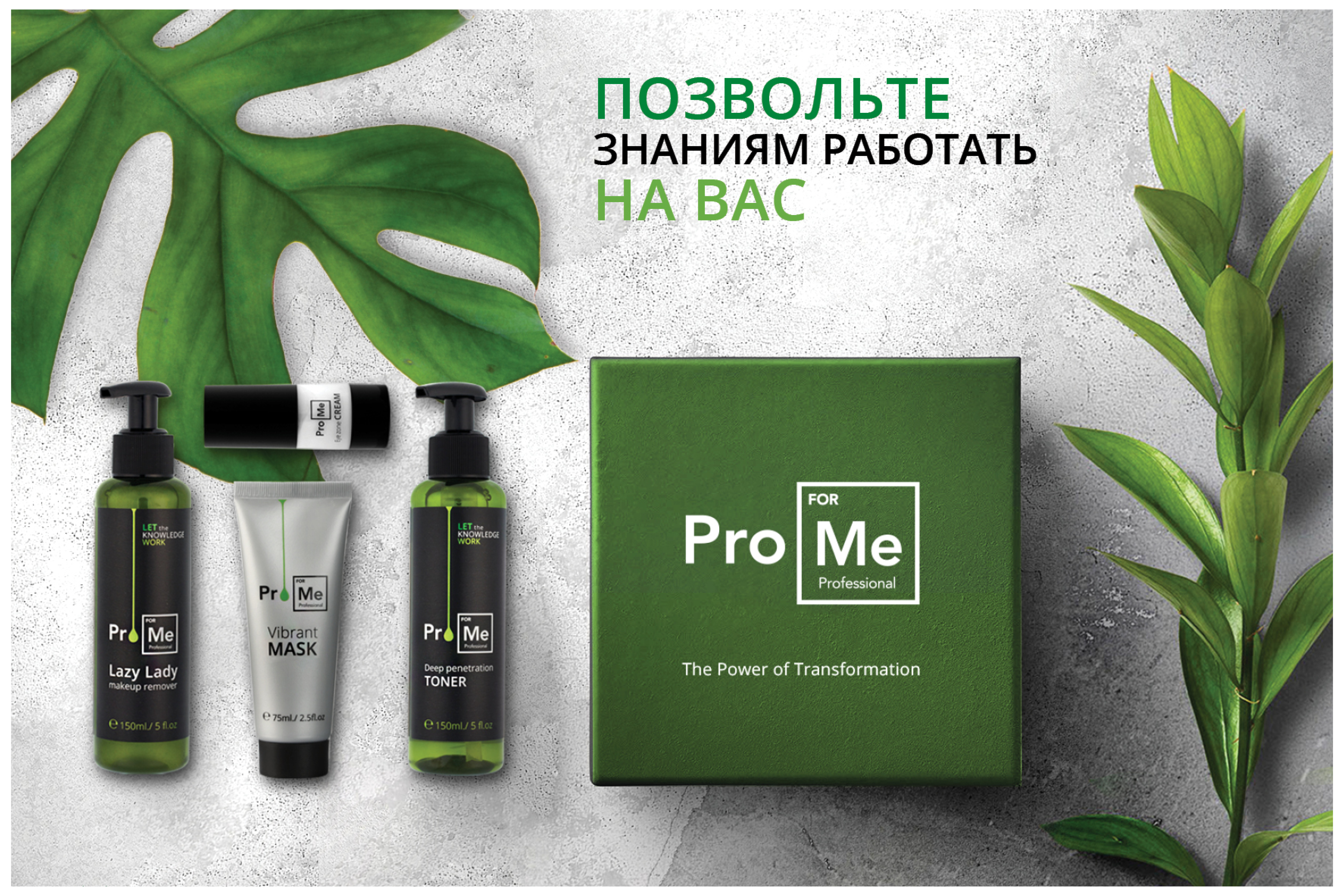 Entry 250281 in Portfolio by Compote Creative Studio