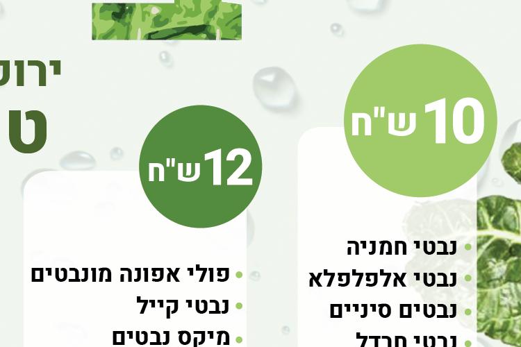 XPlace פרילנסרים | עבודה מהבית לפרילנסר ועבודות פרילנס לפרילנסרים