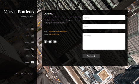Entry 182627 in Marvin Photographer Wordpress Theme by SKT Themes