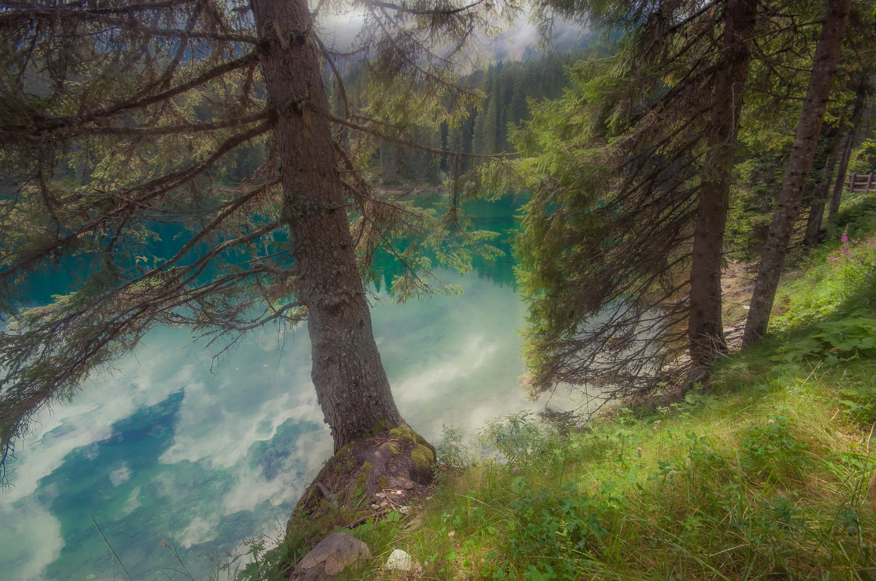 Entry 121135 in Landscapes by Ron Stollman Photography