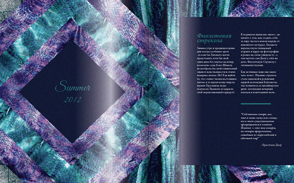 Entry 85426 in Catalog Design for Lizaveta Sheveleva by 28/8 Design