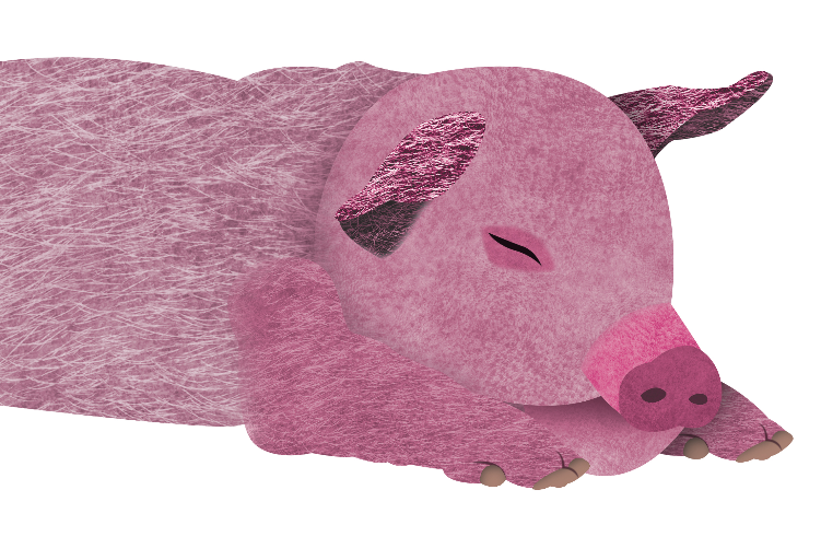 Open Zoomed Related Entry pig.jpg
