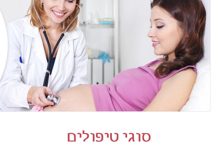 Open Zoomed Related Entry עיצוב ופיתוח WordPress