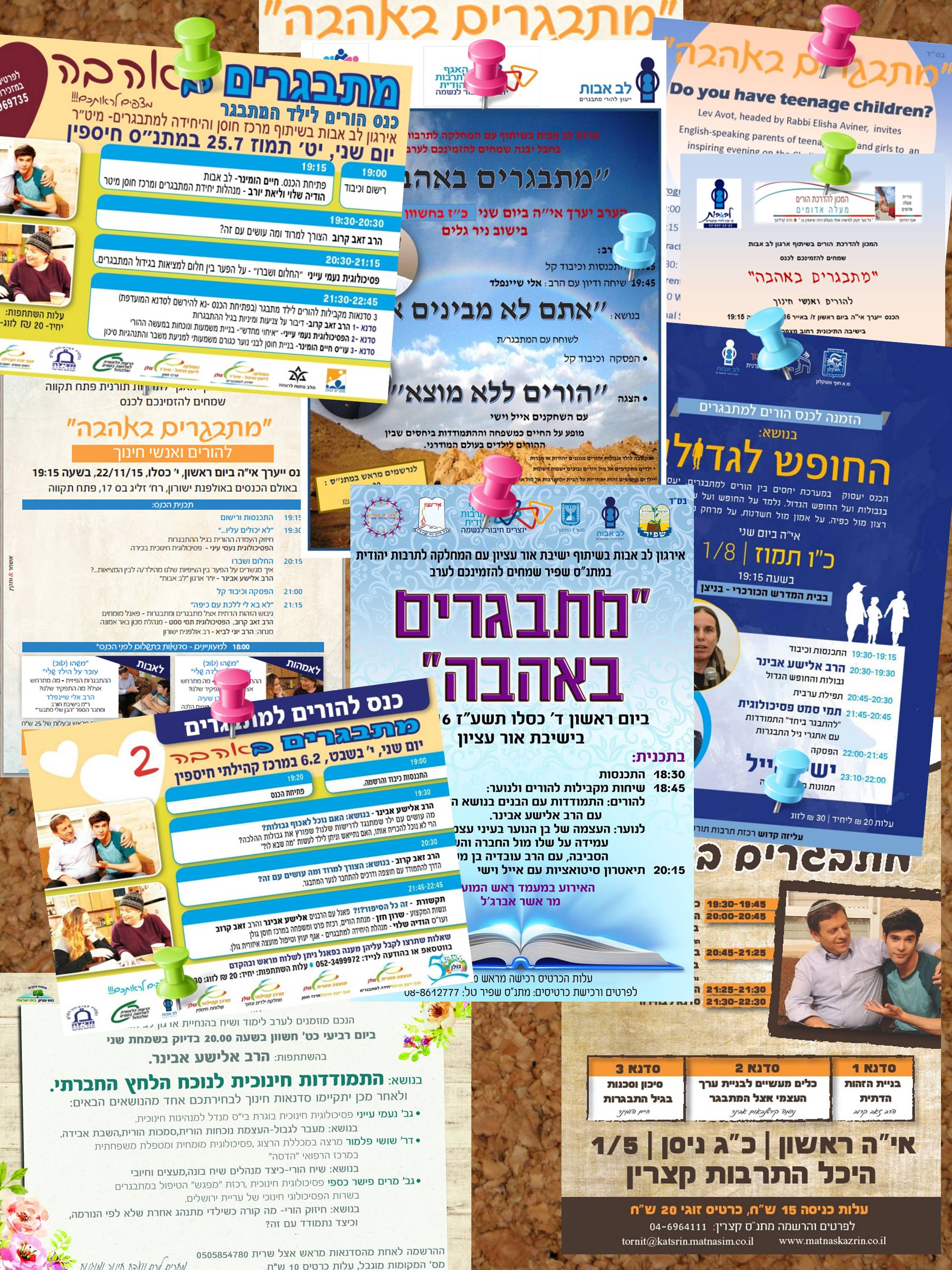 Entry 158620 in Portfolio by חוה אלבוים