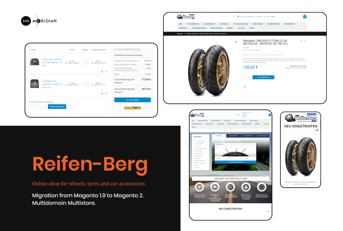 Entry 251244 in Portfolio by WebMeridian