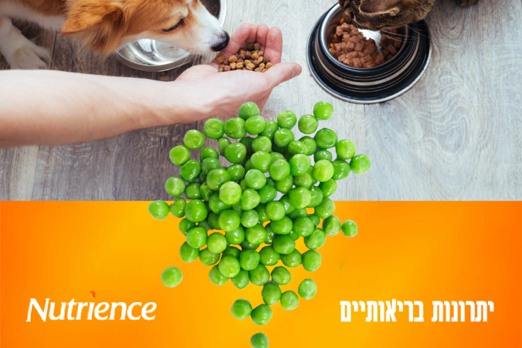 Open Entry 254730 in בעלי חיים :) by Orit Slama