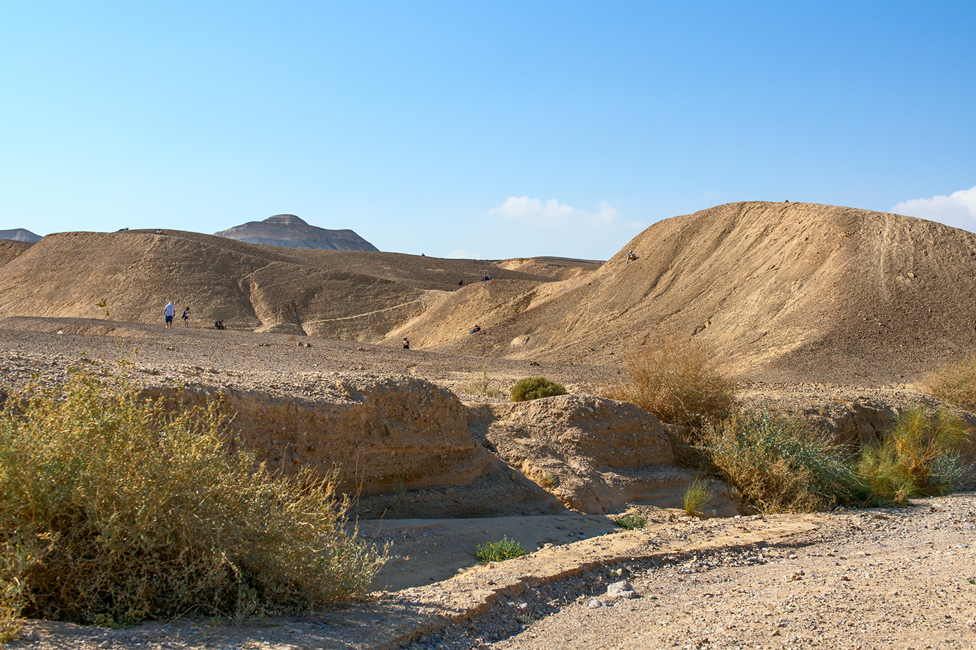 Entry 199898 in The Negev Desert: from a sunrise to the Dead Sea by Sofia Feiguelman