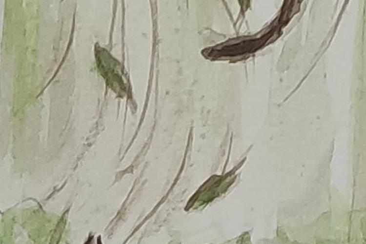 animal adventures project thumbnail