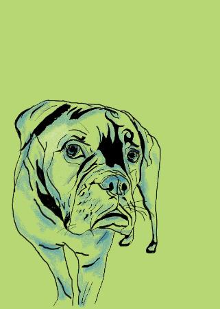 Open Zoomed Related Entry Digital Posters-Dog1