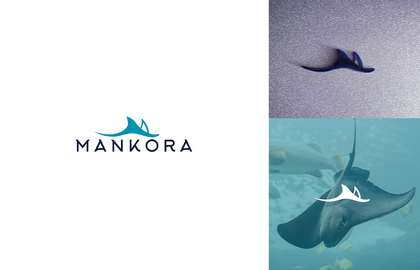Entry 270183 in Portfolio by Logo Fusion