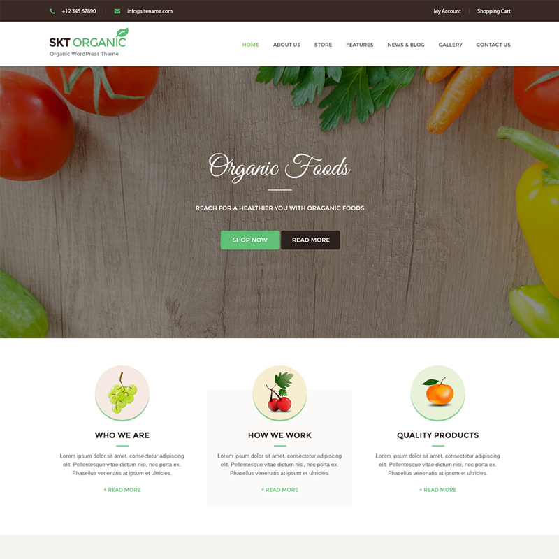 Entry 180769 in Portfolio by SKT Themes