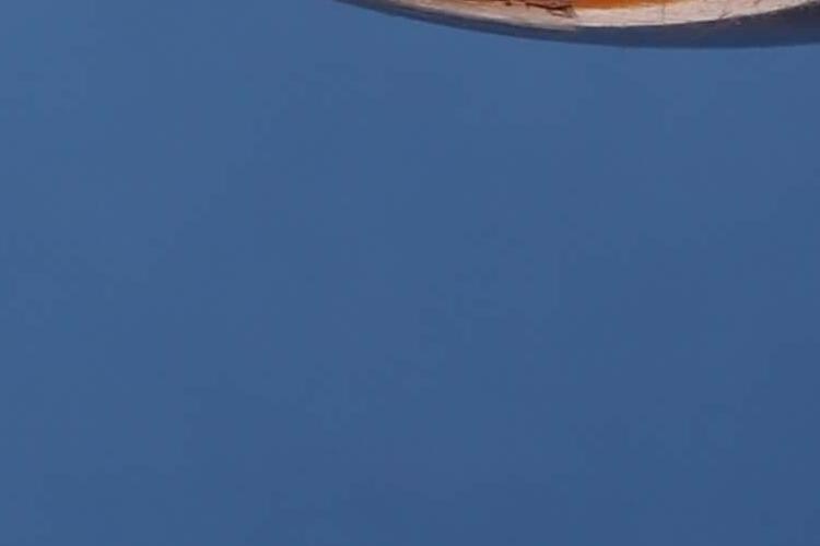 Open Zoomed Related Entry מרק (6).jpeg