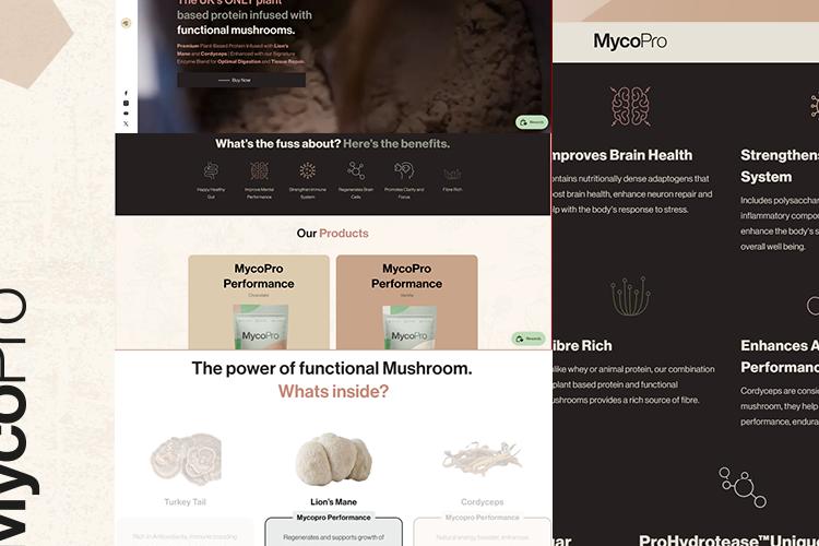 Open Zoomed Related Entry Mycopro WWT P.png