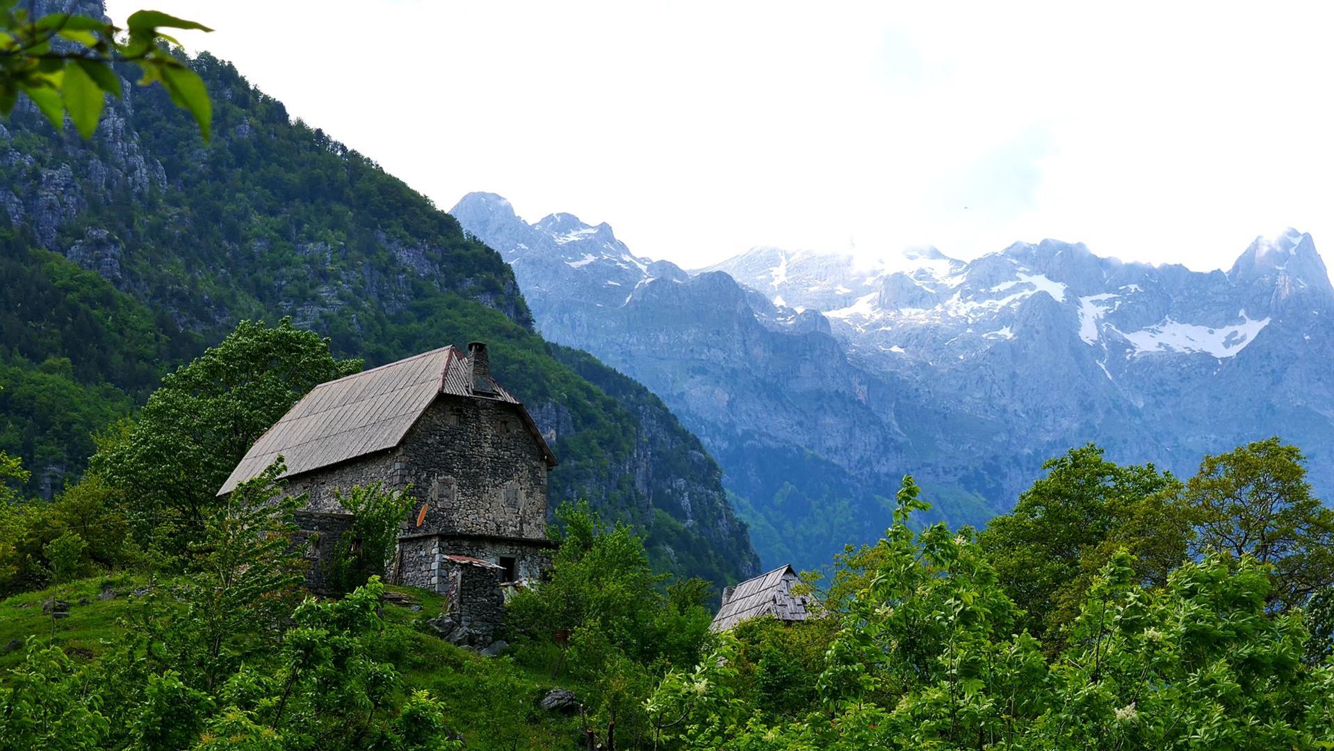 Entry 341723 in Portfolio by קיץ ברבנר - צילום עם סיפור