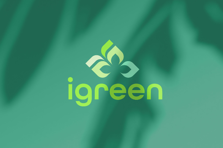 Open Zoomed Related Entry igreen.jpg
