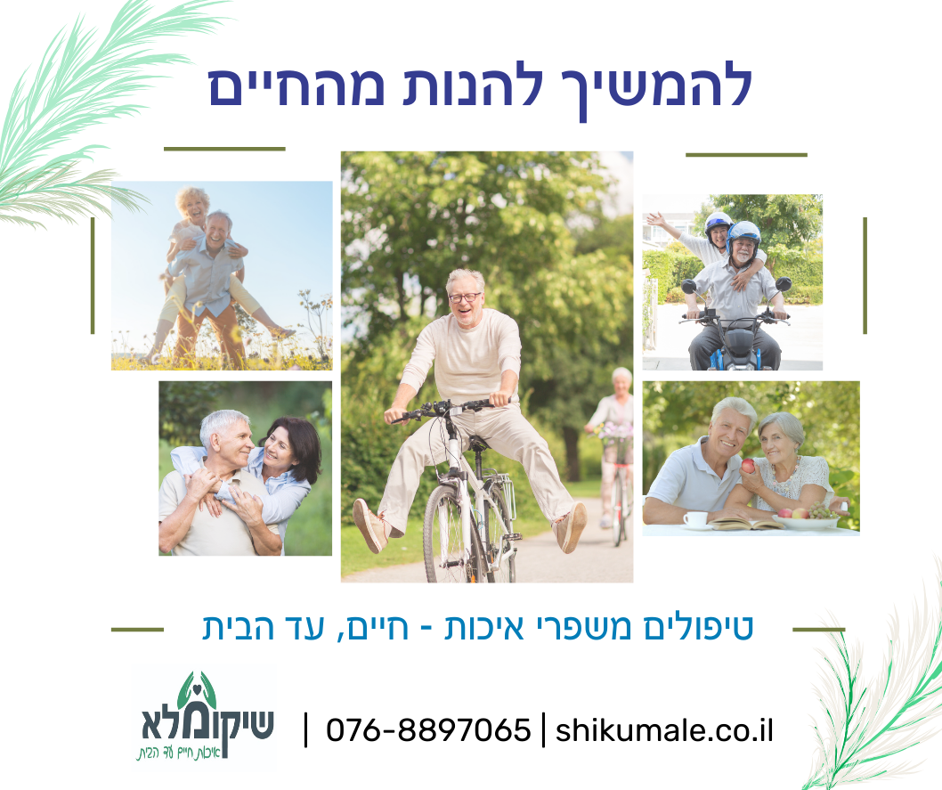 Entry 310052 in Portfolio by א.כ דיגיטל מרקטינג-O.C DIGITAL MARKETING