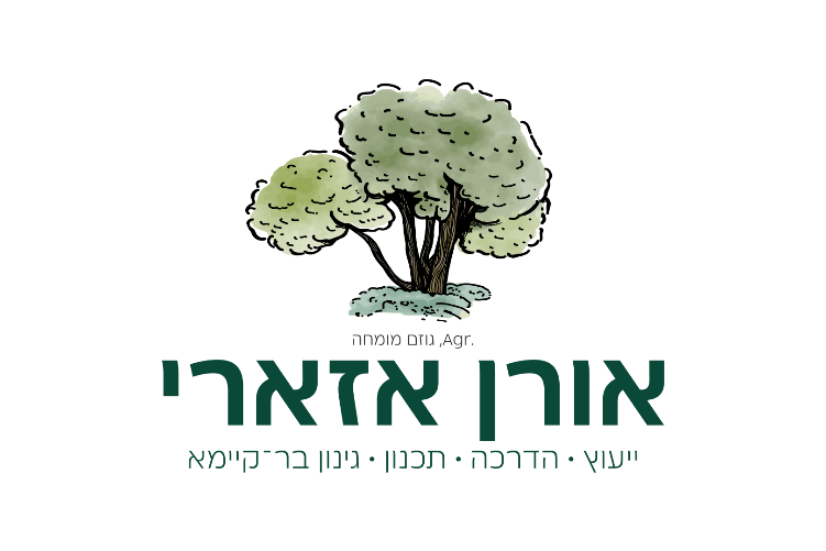 Open Zoomed Related Entry Oren Azari Logo Design.jpg