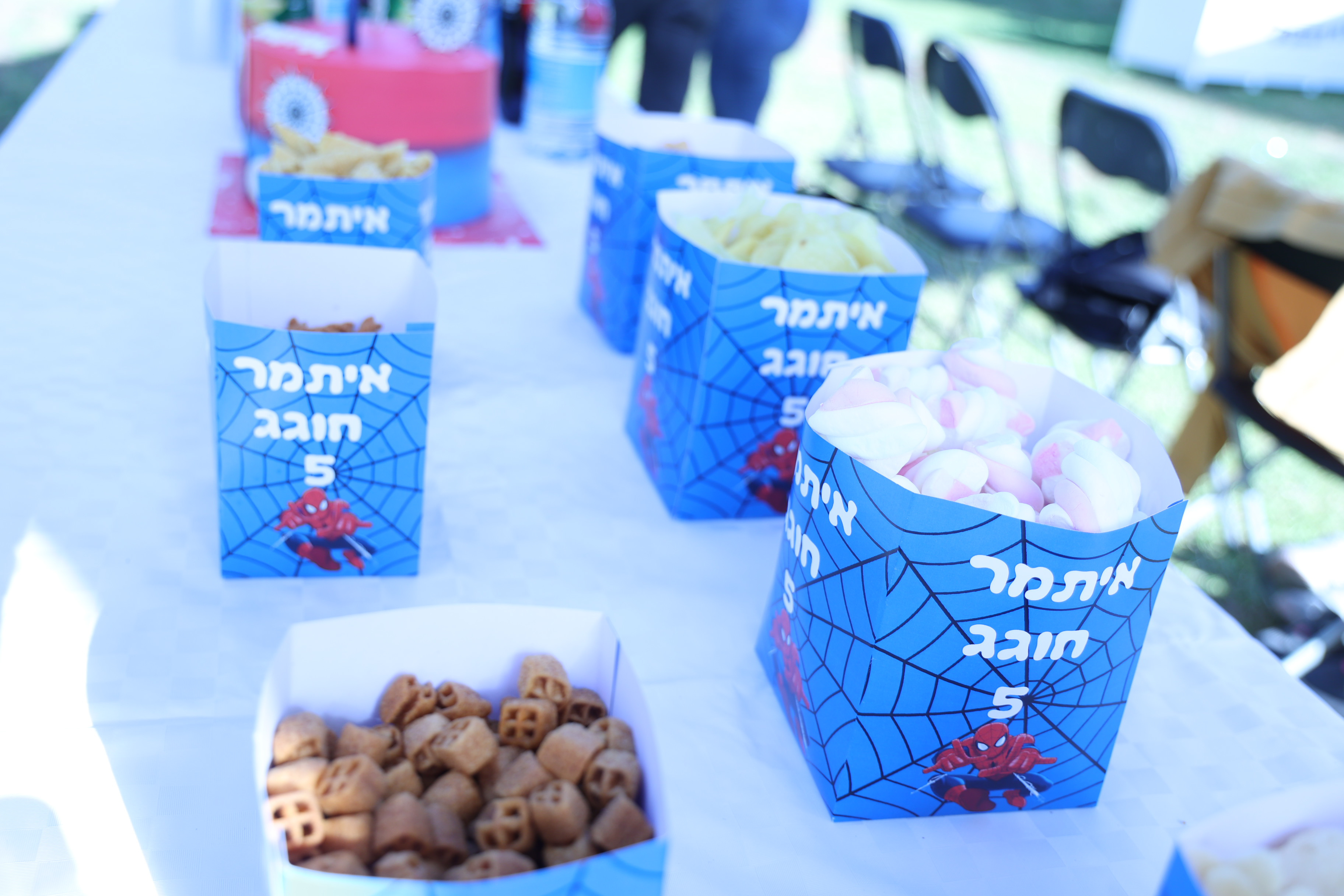 Entry 296682 in Portfolio by liron photography