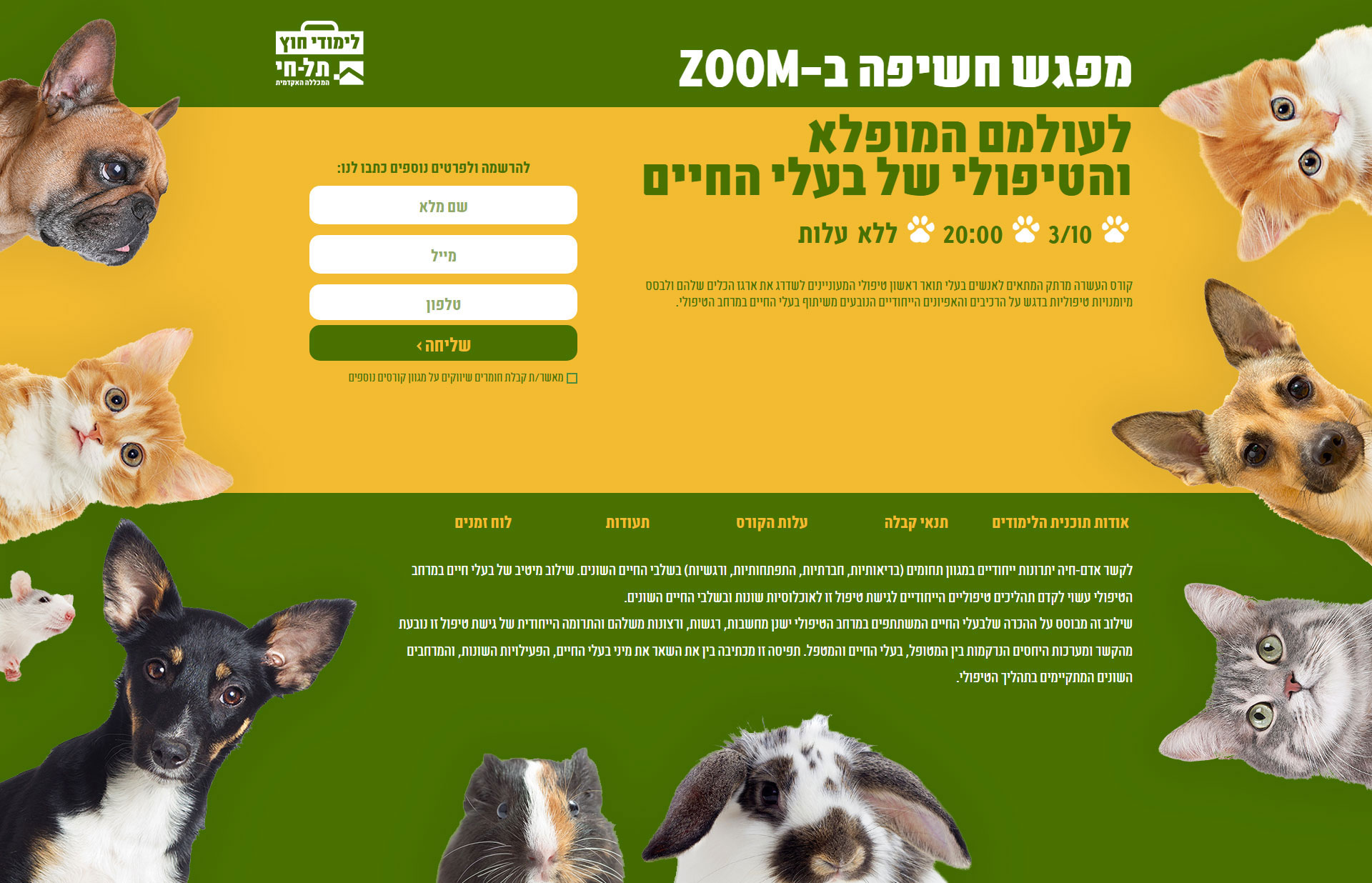 Entry 277355 in Portfolio by Michal Kisin- Web creative
