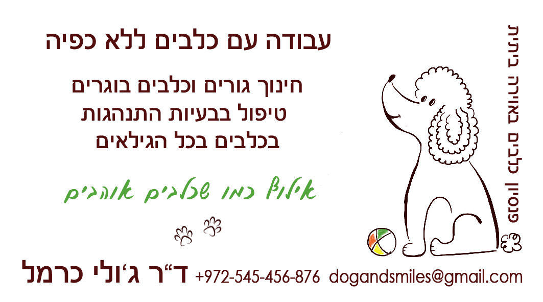 Entry 82802 in לוגואים וכרטיסי ביקור by irina veksler