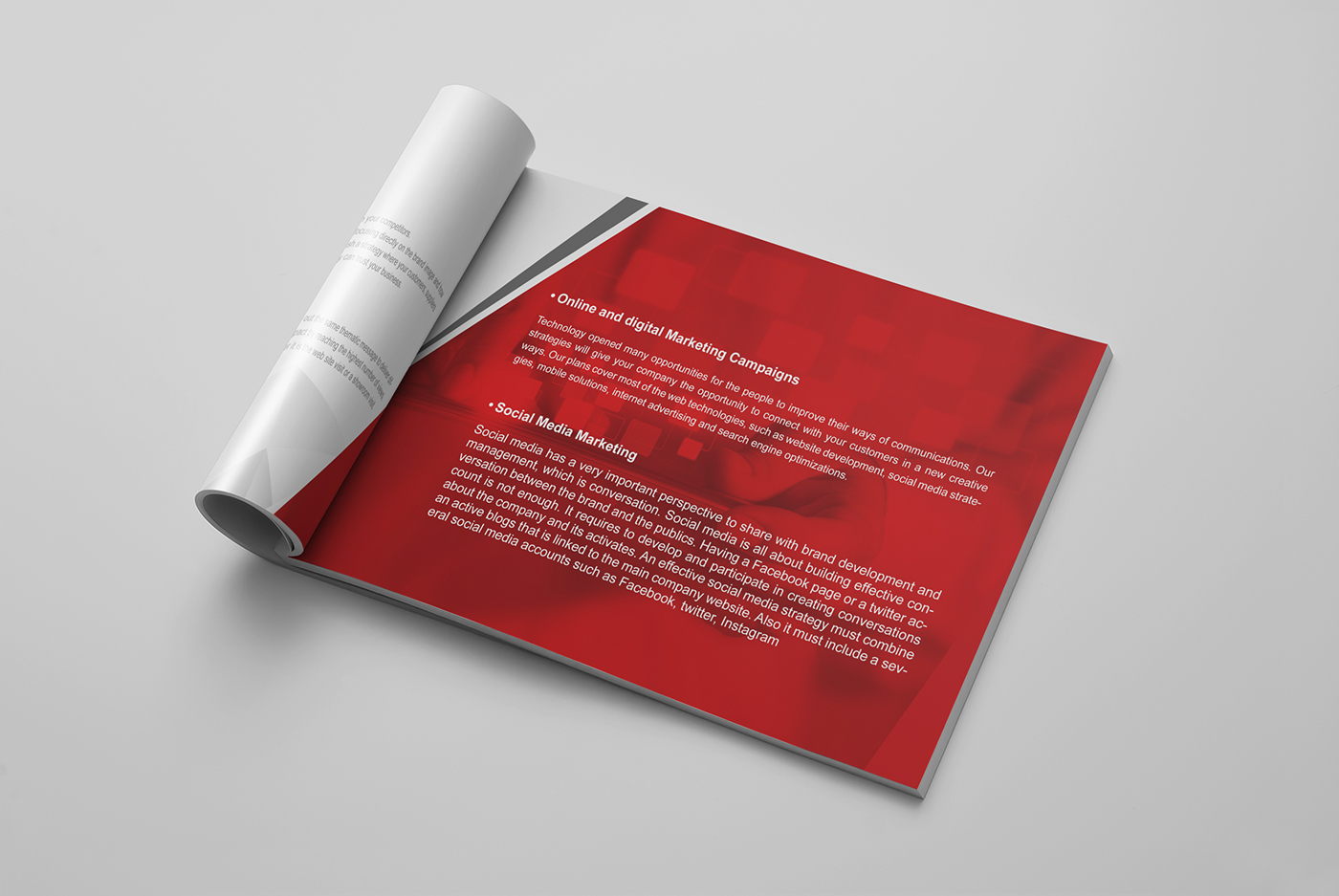 Entry 143307 in Magntic Brochure by Haweya company
