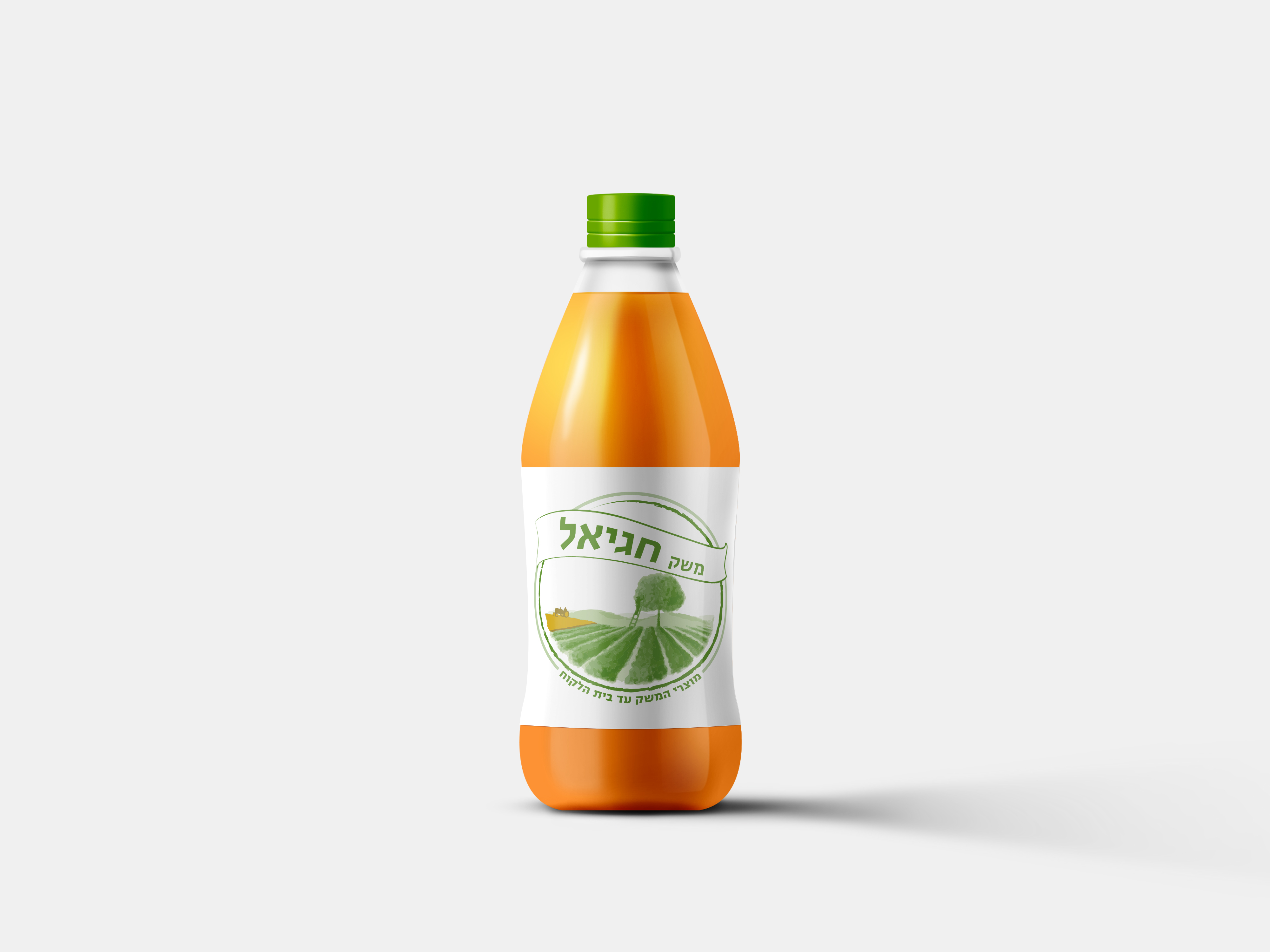 Entry 220575 in Logos design by Gilad Cohen | Freelancer