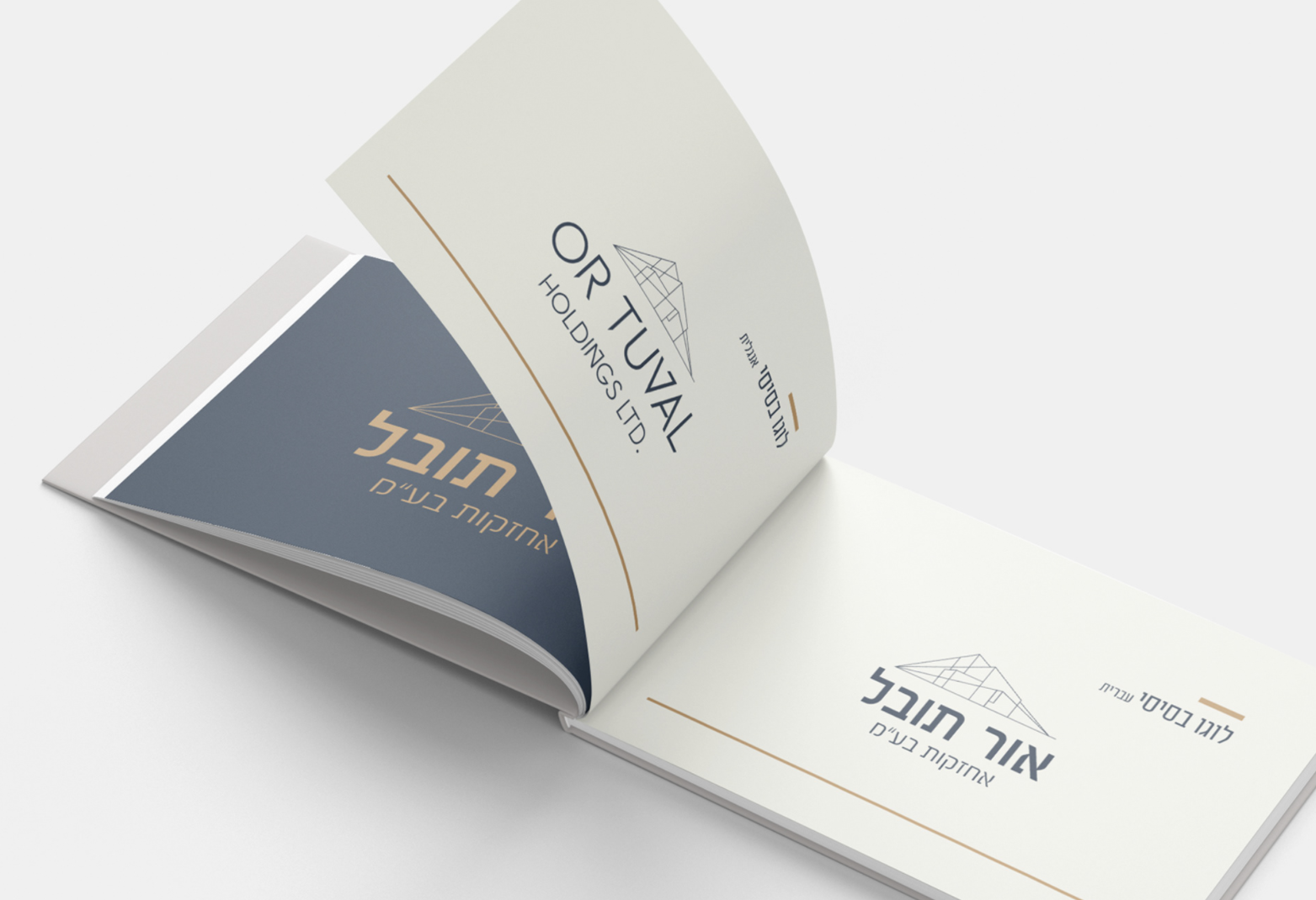 Entry 250101 in Portfolio by סטודיו תושה
