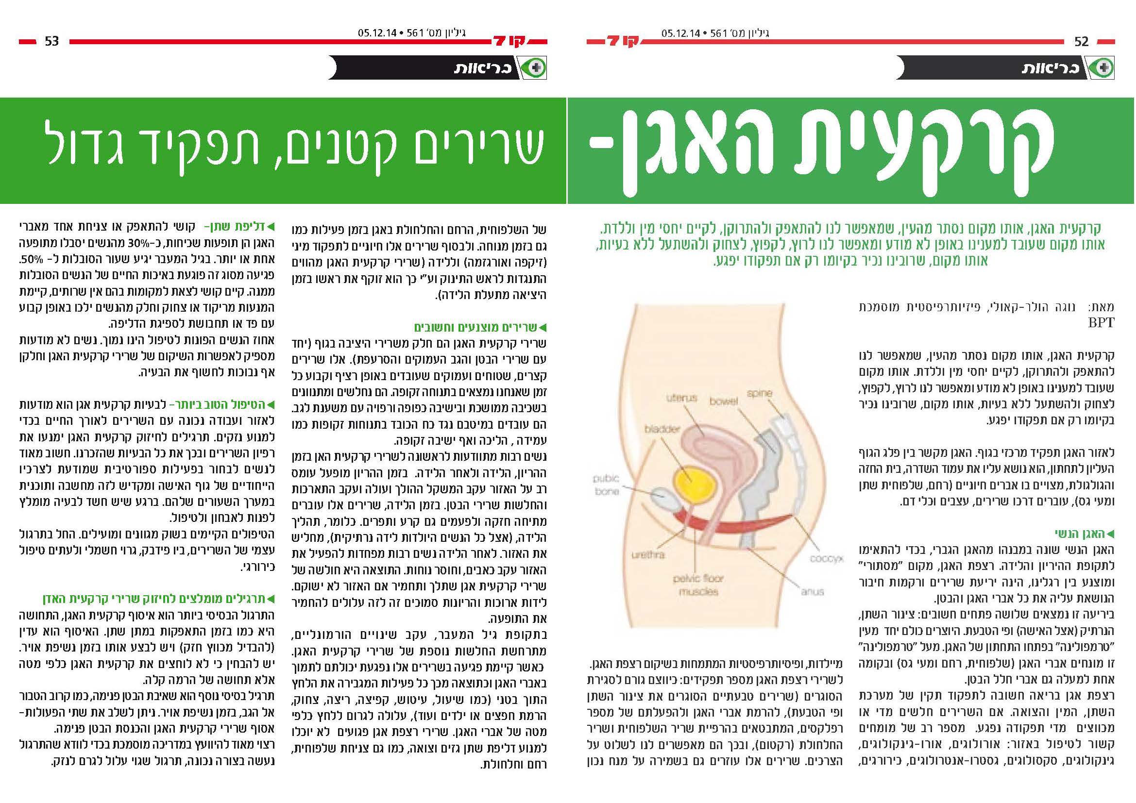 Entry 92868 in Portfolio by לטינוגרף