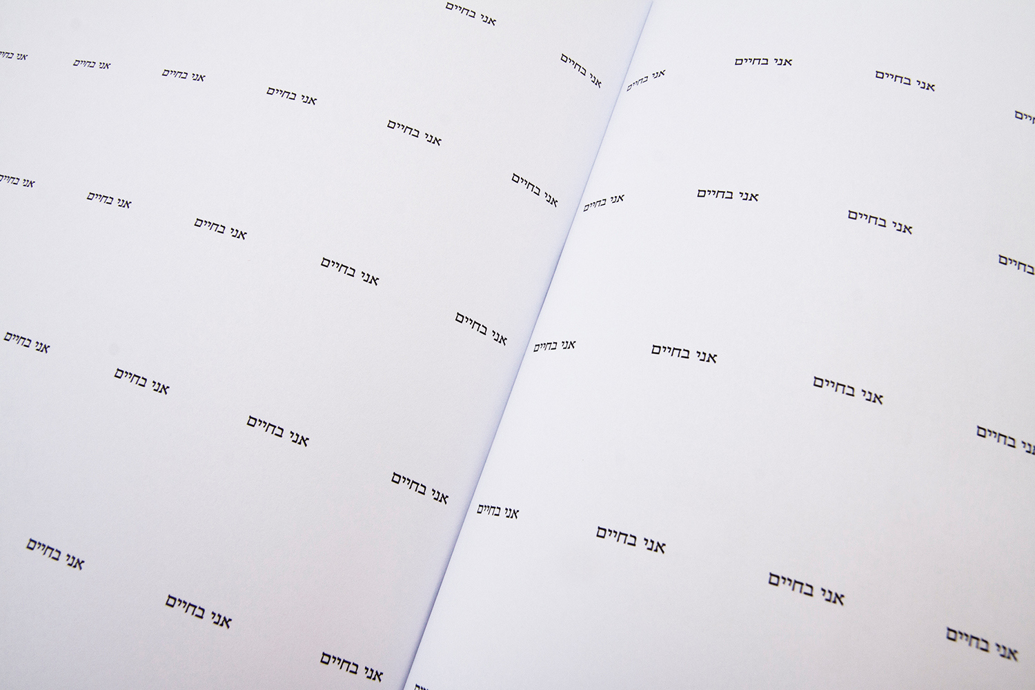 Entry 86205 in Final Project by נטליה גרינברג