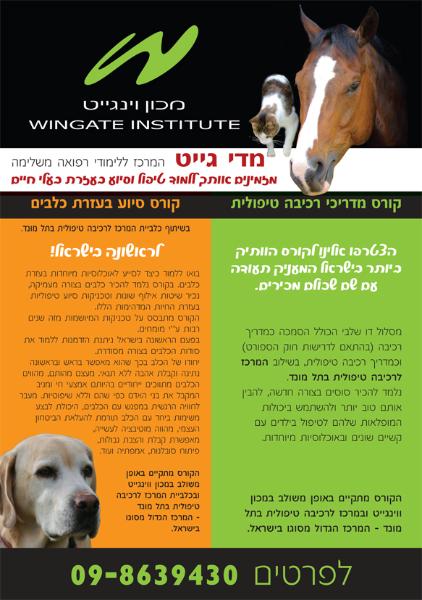 Entry 49171 in Portfolio by ענבר עיצובים
