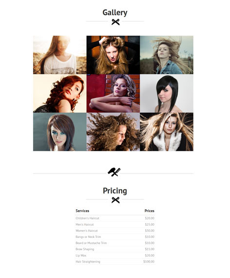 Entry 182664 in Hair Salon Wordpress Theme by SKT Themes