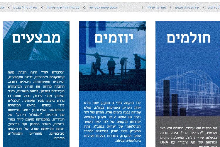 Open Entry 142609 in Portfolio by טו לינק בע&quot;מ