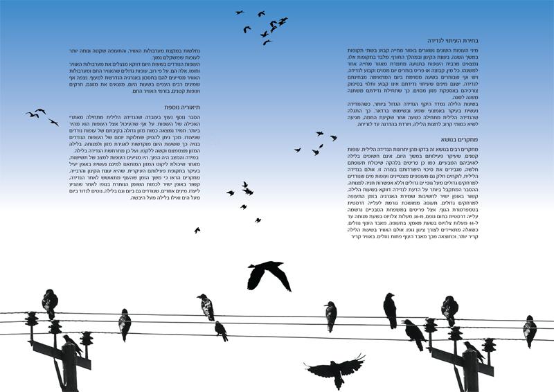 Entry 24494 in Portfolio by AYAT DESIGN