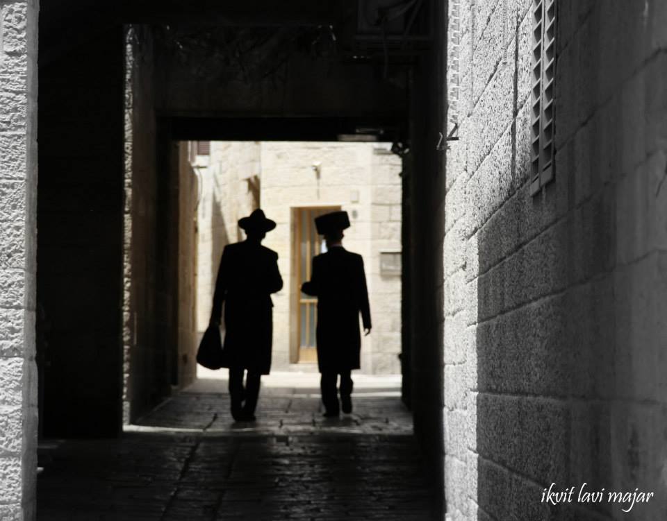 Entry 219987 in Portfolio by ikvit lavi majar
