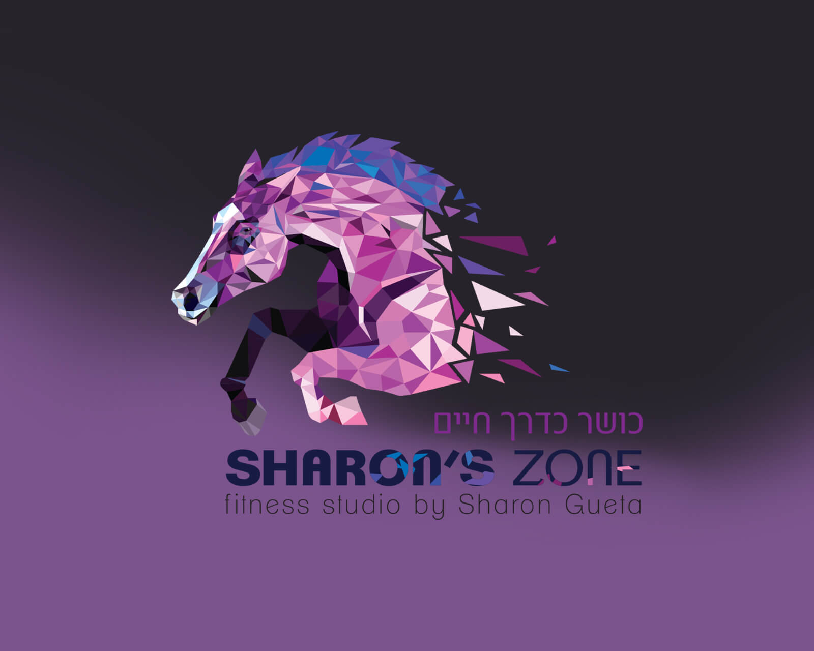 Entry 258679 in Portfolio by סטודיו ביקה
